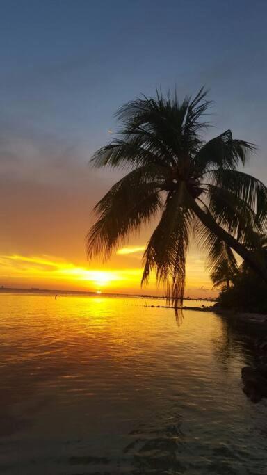 Marysol Private Beach Next To Nomads D5 Ilha das Mulheres Exterior foto